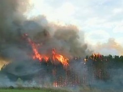 Россия вновь в огне: При пожарах в Волгоградской области погибли пять человек