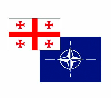 Грузия ознакомит НАТО со своей программой на 2011 год 