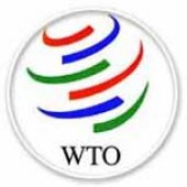 Россия предложила Грузии начать переговоры по вступлению в ВТО