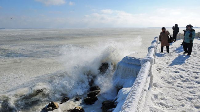 От морозов в Европе погибло более 80 человек